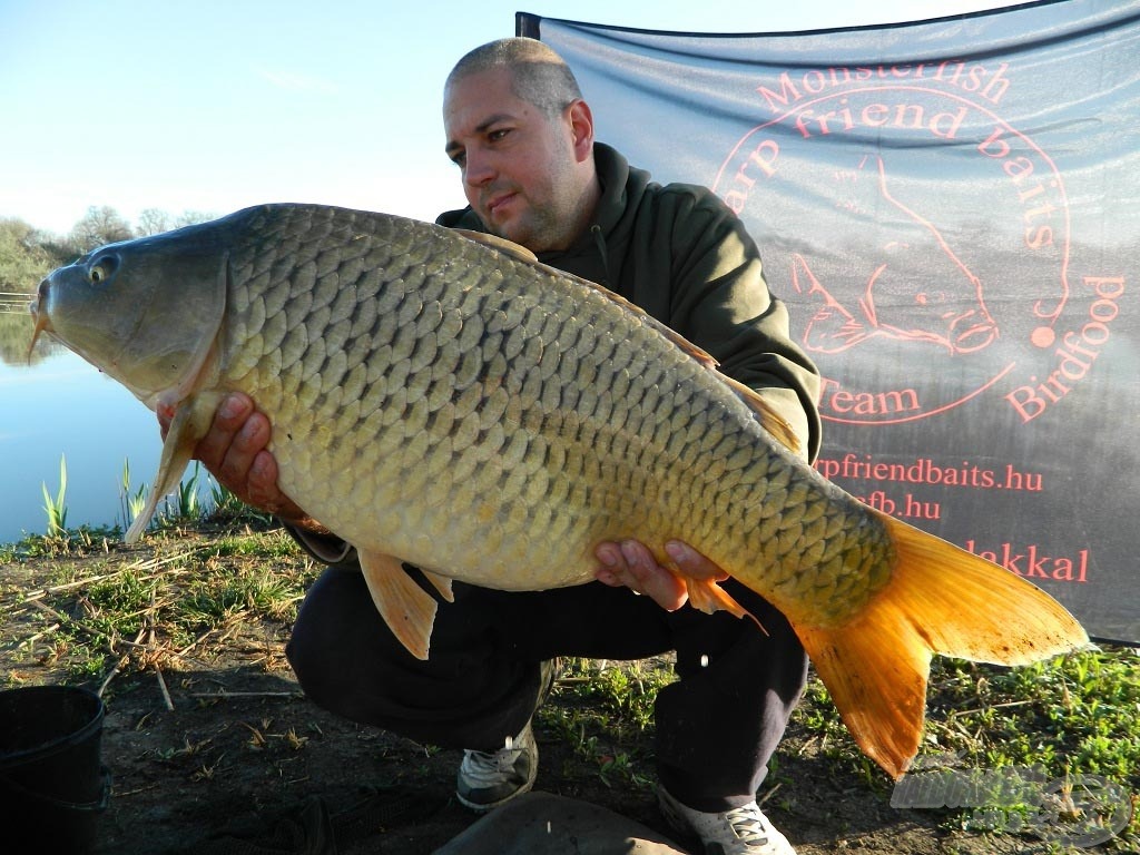 8,20 kg-os, szépséges töves