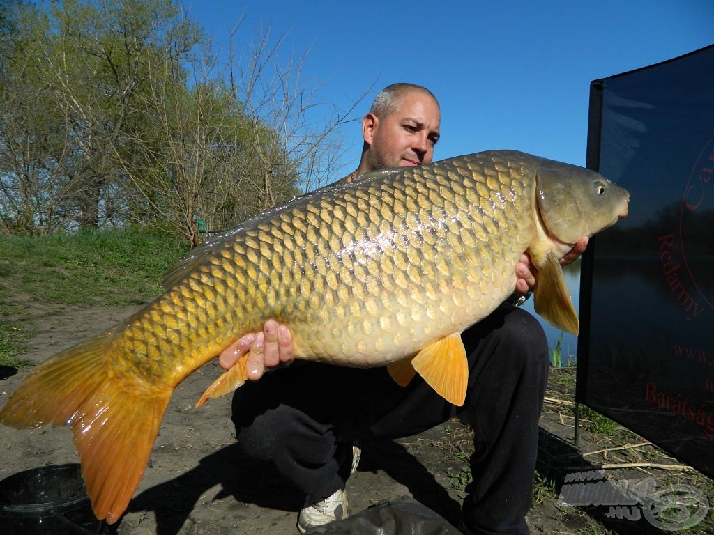 14,4 kg-os erőgép