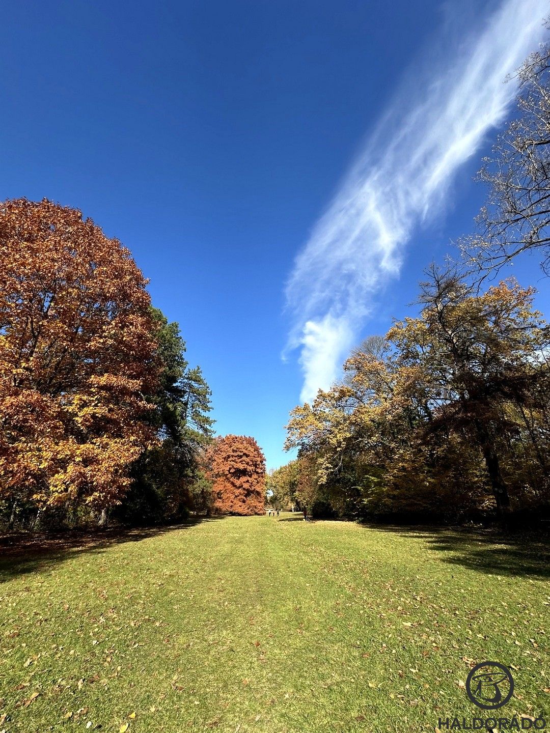 Kellemes idő fogadott