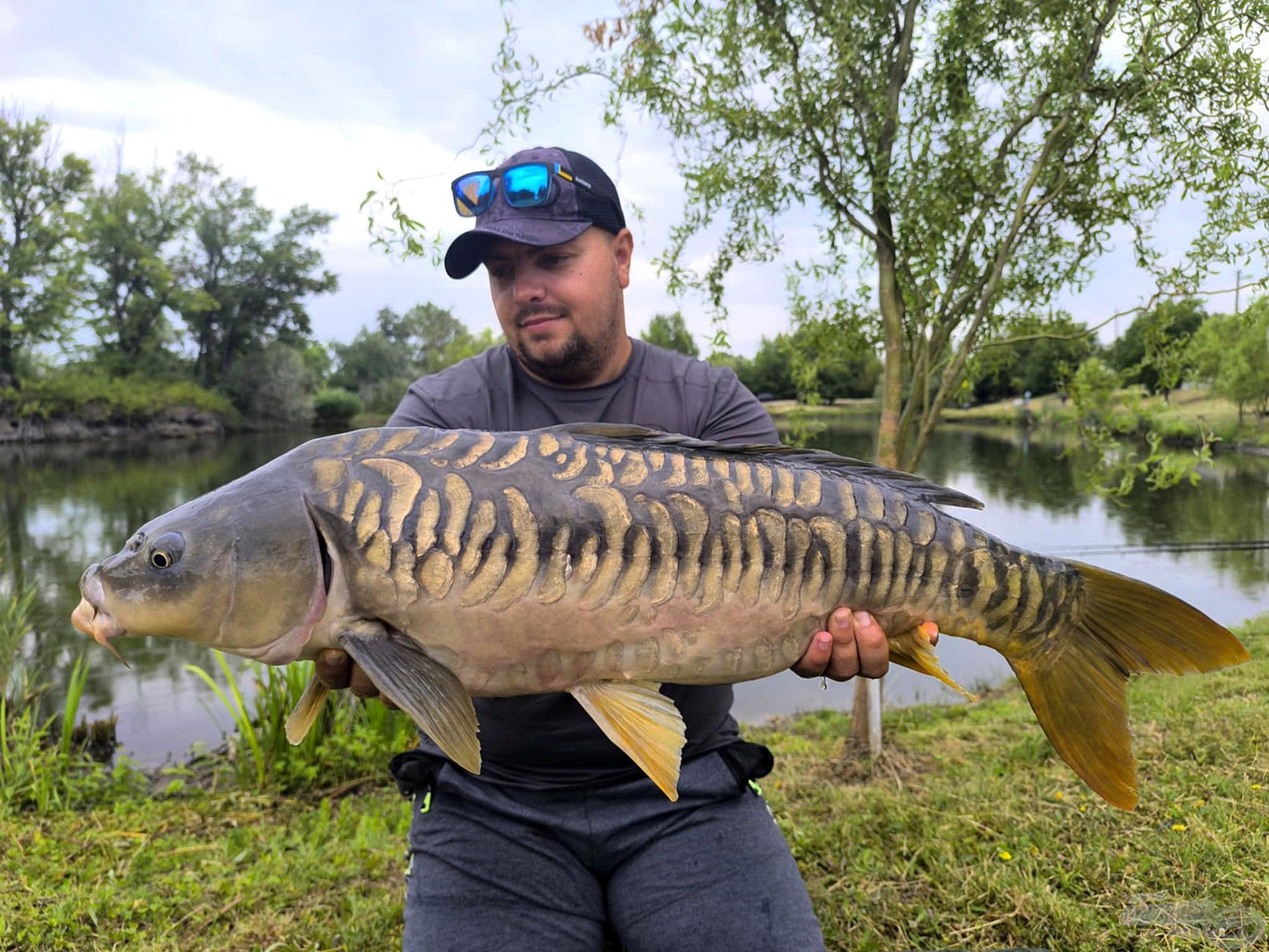 Egy különleges rapid horgásztúra Nagysurányban – Élménybeszámoló a Carp Tona tóról