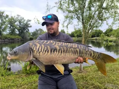 Egy különleges rapid horgásztúra Nagysurányban – Élménybeszámoló a Carp Tona tóról