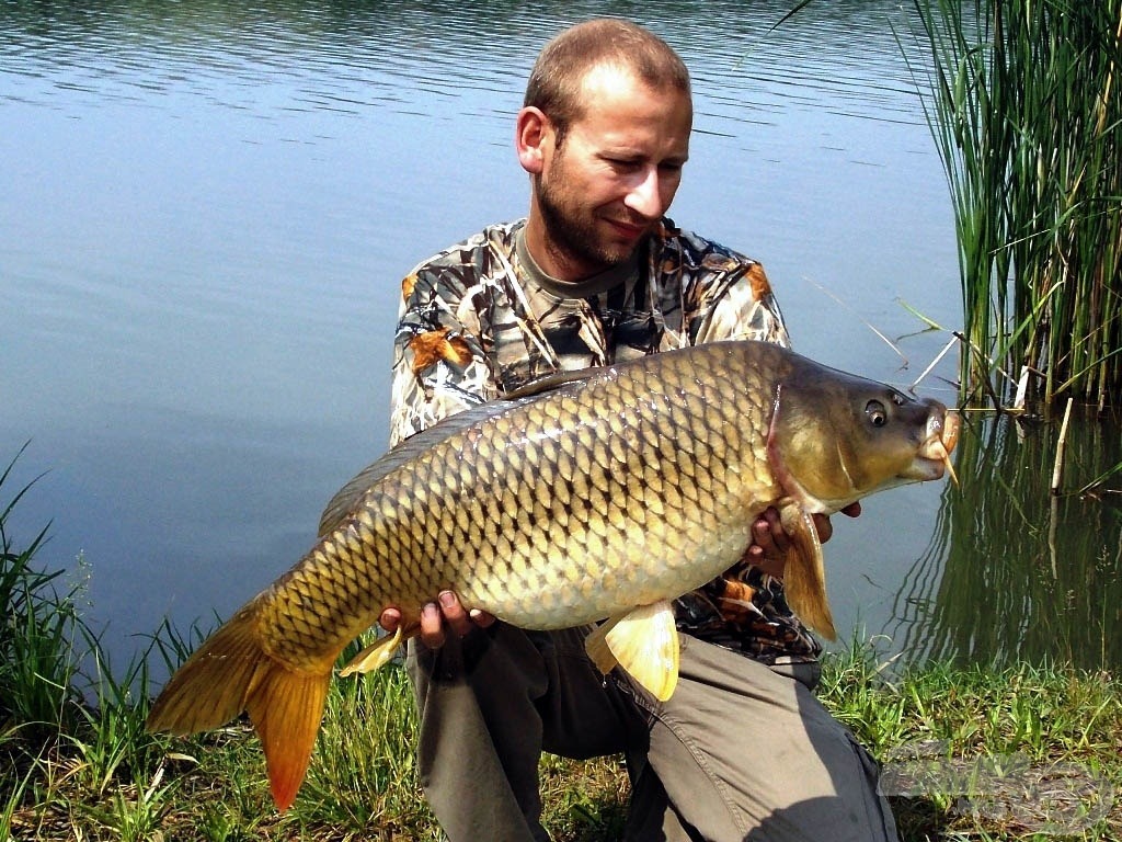 „Lovely Fish”, mondaná az angol