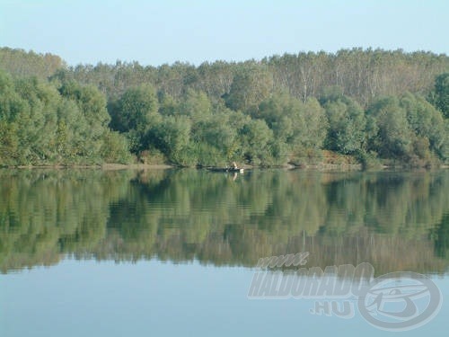 A hallgatag Tisza