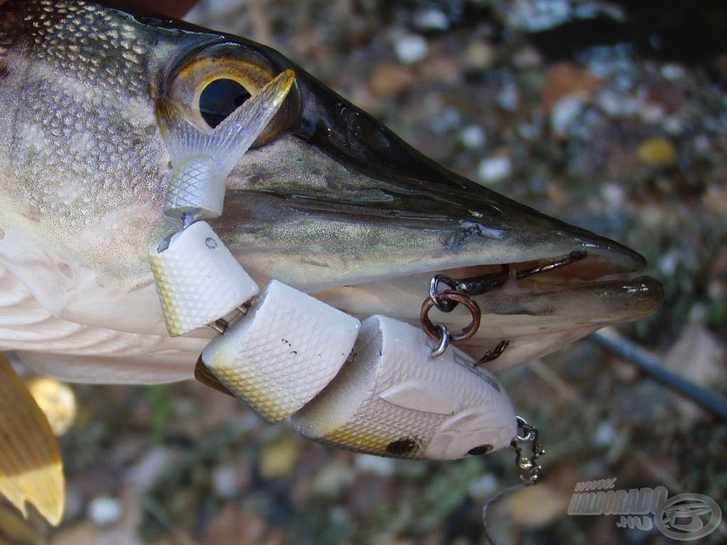 A Baby Shad kidolgozása is tökéletes