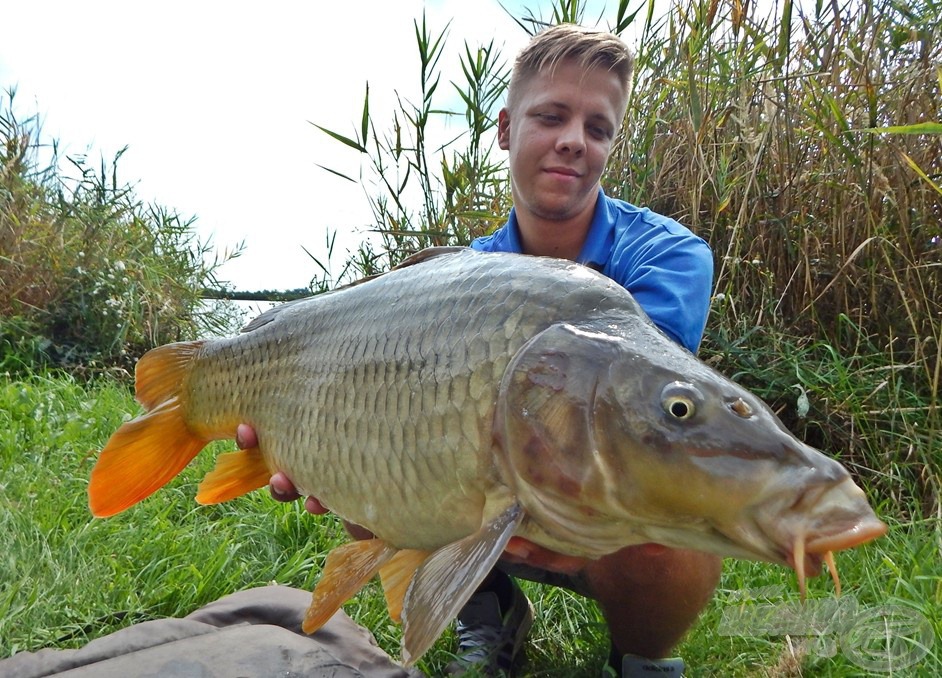 Kézben egy 5 kg feletti tőponty, amit a part menti zónából sikerült kapásra bírni. Ékes bizonyítéka annak, hogy olykor az orrunk előtt vannak a halak…