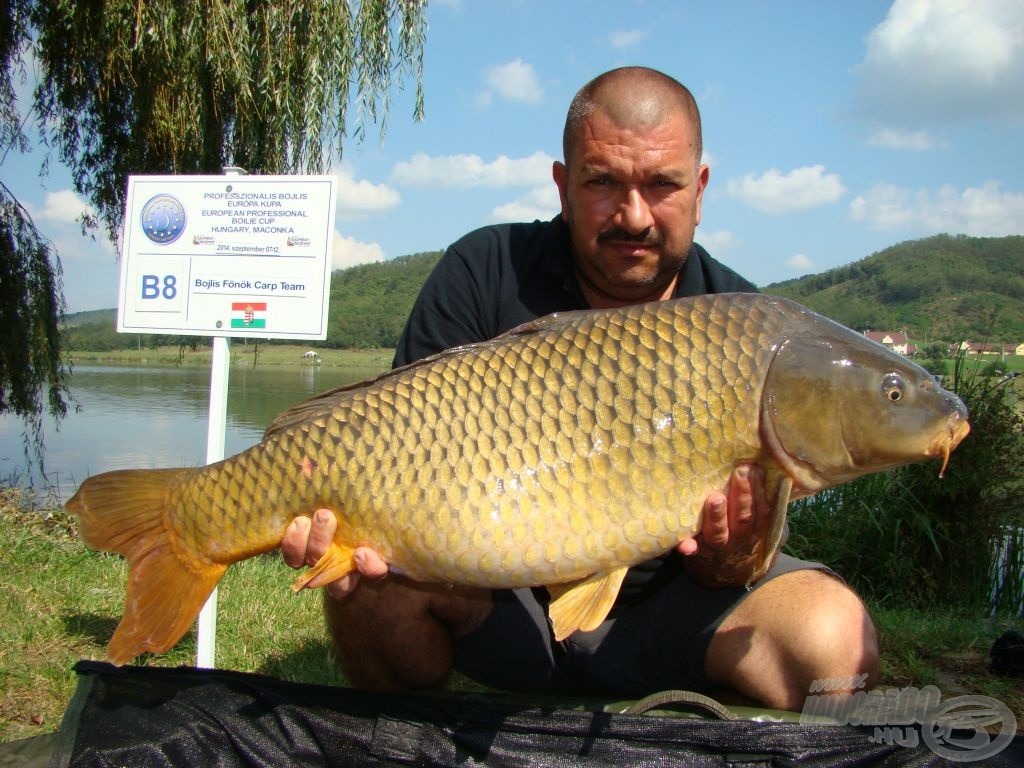 Bojlis-Főnök, Varga Zoltán egy nagy nyurgával