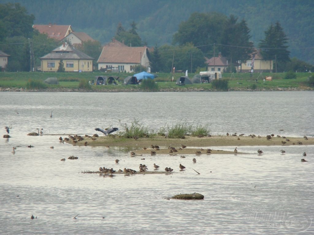 A legnagyobb pozitívum, hogy lassan ismét a víz az úr!