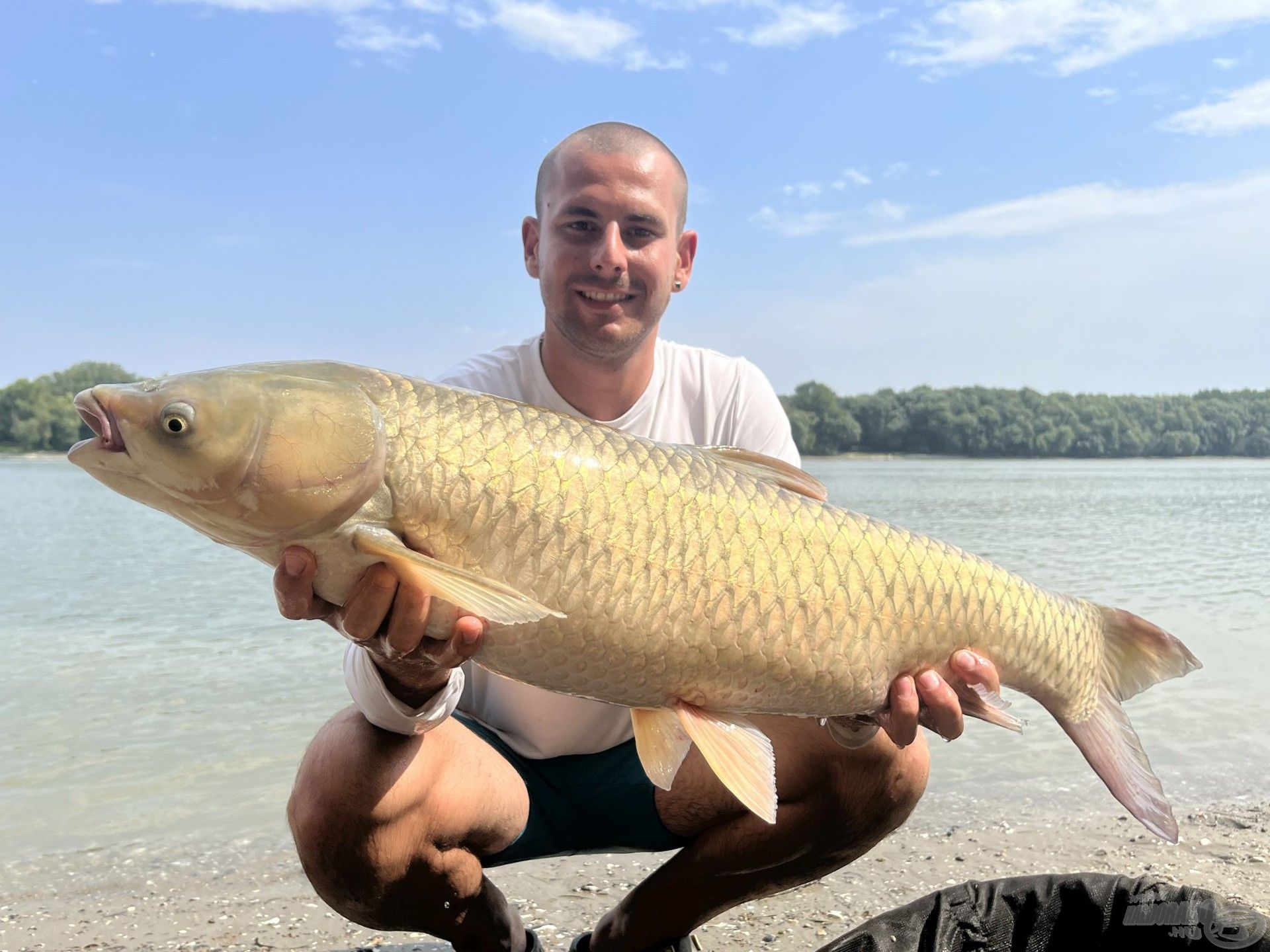 Csabi reggeli kis amurját…