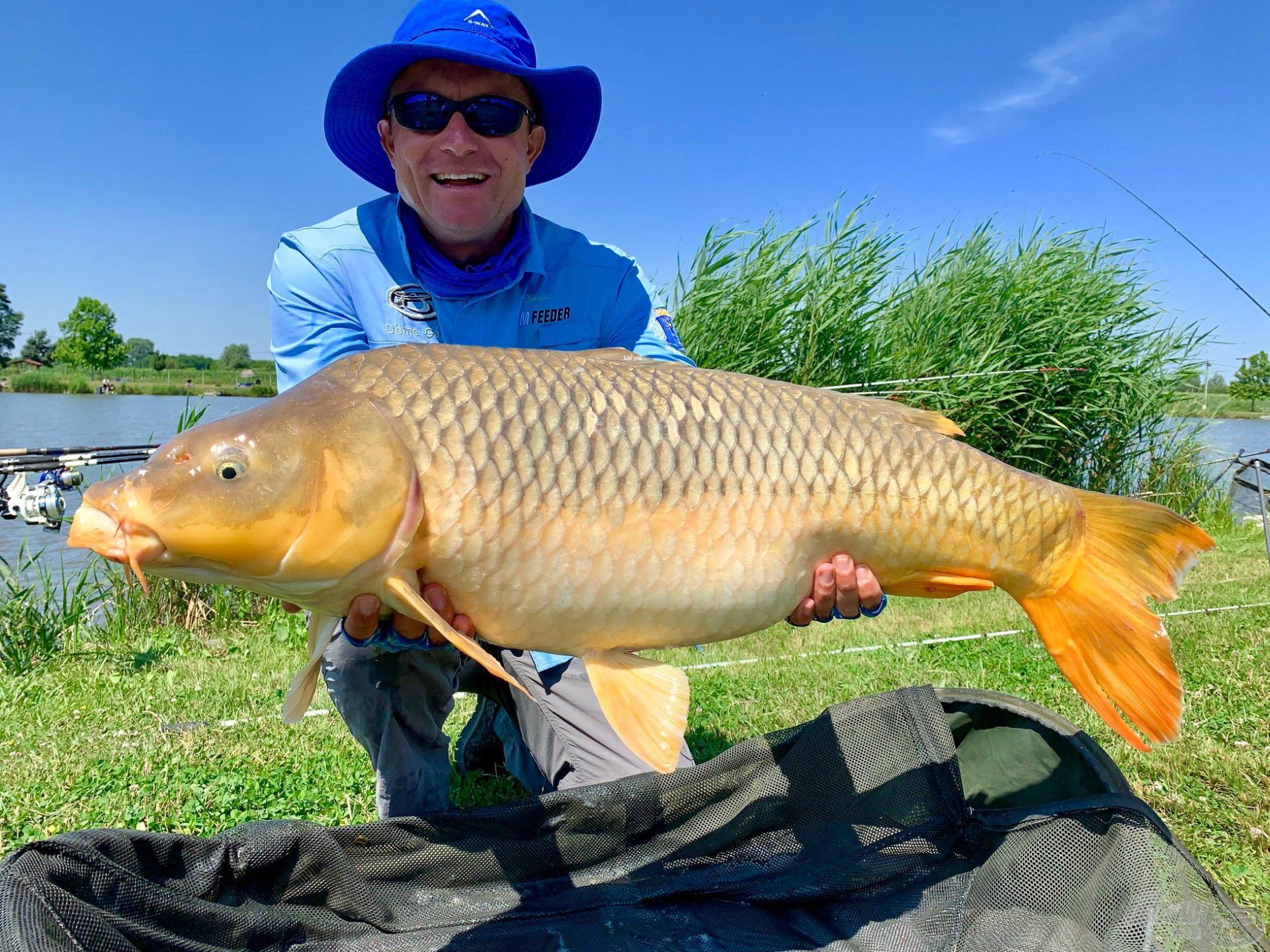 Íme, az „Ezüst-tó kincse”! Ezt a gyönyörű halat legutóbb 2019 nyarán Döme Gábor fogta meg 14.160 grammal. A ritka szép koi ponty mostanra már gyarapodva aranyozhatja be valaki napját!