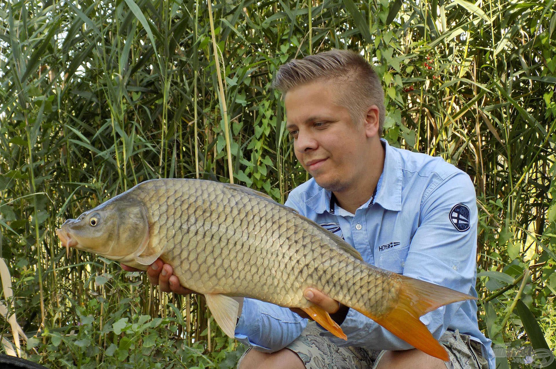 Feeder praktikák új vizekre hangolva