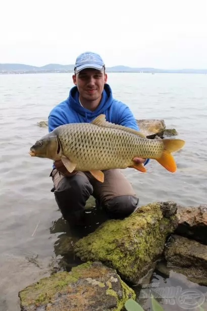 Feederbottal a Balatonon - A tihanyi kövezés kihívása