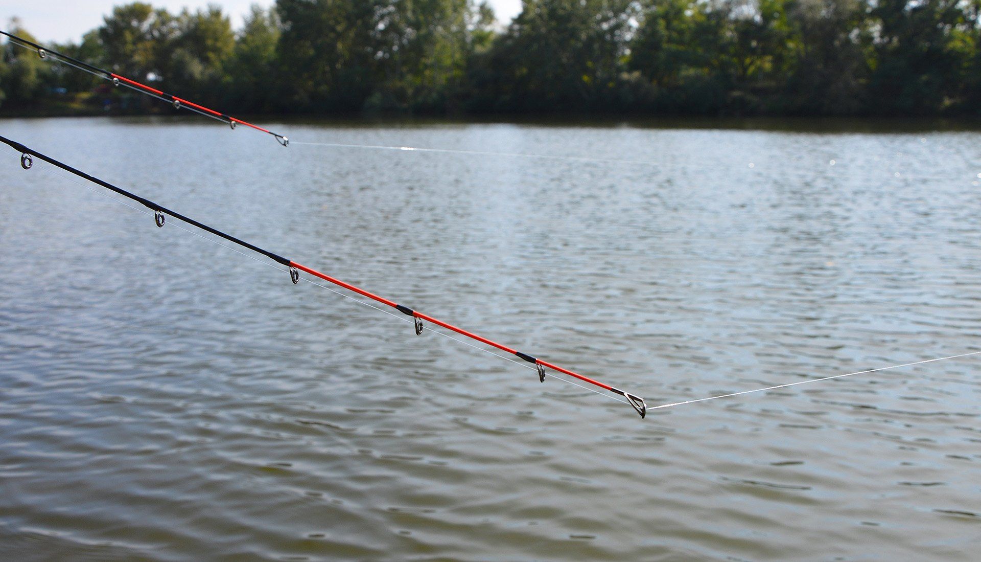 Kapásra várnak a Master Carp Pro spiccek, vajon melyik mozdul hamarabb?