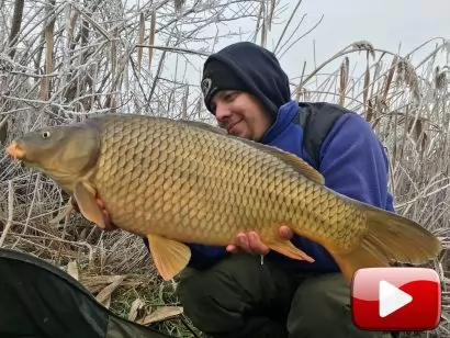 Feederbottal a „fagyos pontyok” nyomában 2. rész