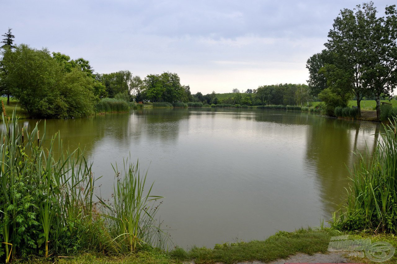 A Harangozó-tó egy igazán hangulatos, zegzugos kis horgászvíz, melynek partját gazdag növényvilág borítja