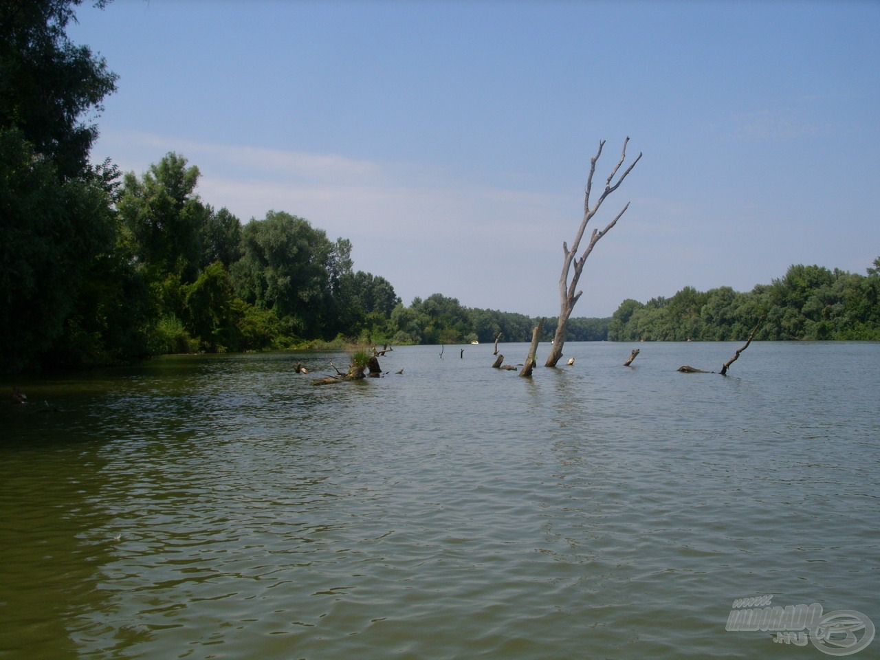 A Tisza-tó egyik legszembetűnőbb karakterét a vadregényes táj mellett a számtalan haltartó hely adja