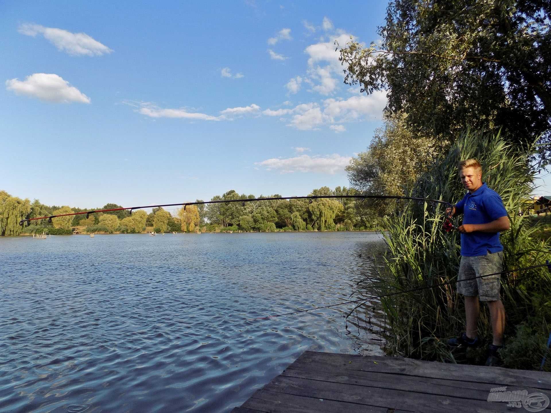 … majd végre határozottabb ellenállásba ütköztem. Jól látszik, a 4,20 méteres Heavy Master Carp Pro bot szépen dolgozik, pedig nem is nagytestű hallal küzdöttem