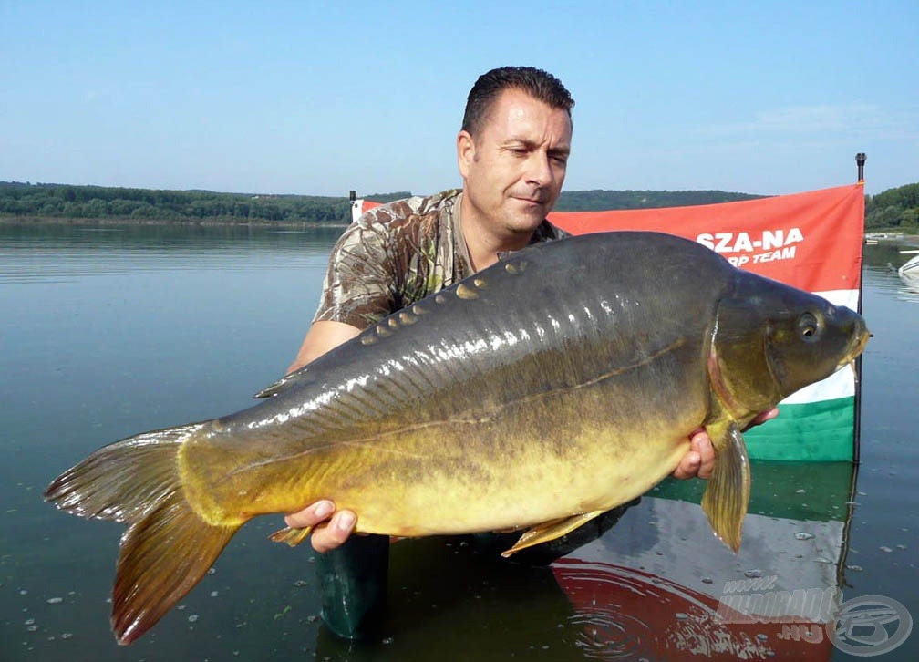 Egy gyönyörű uszonyos a becsapottak közül