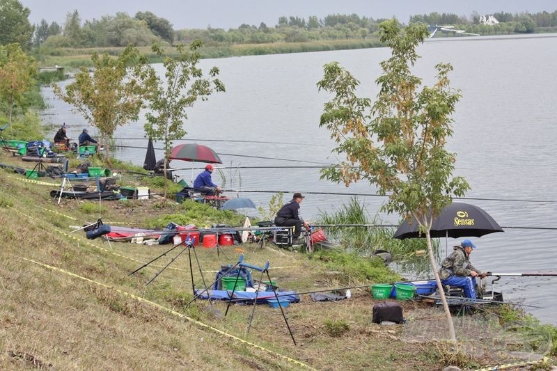 Ahogy kisütött a nap eltűnt egy időre a hal  a pályáról 