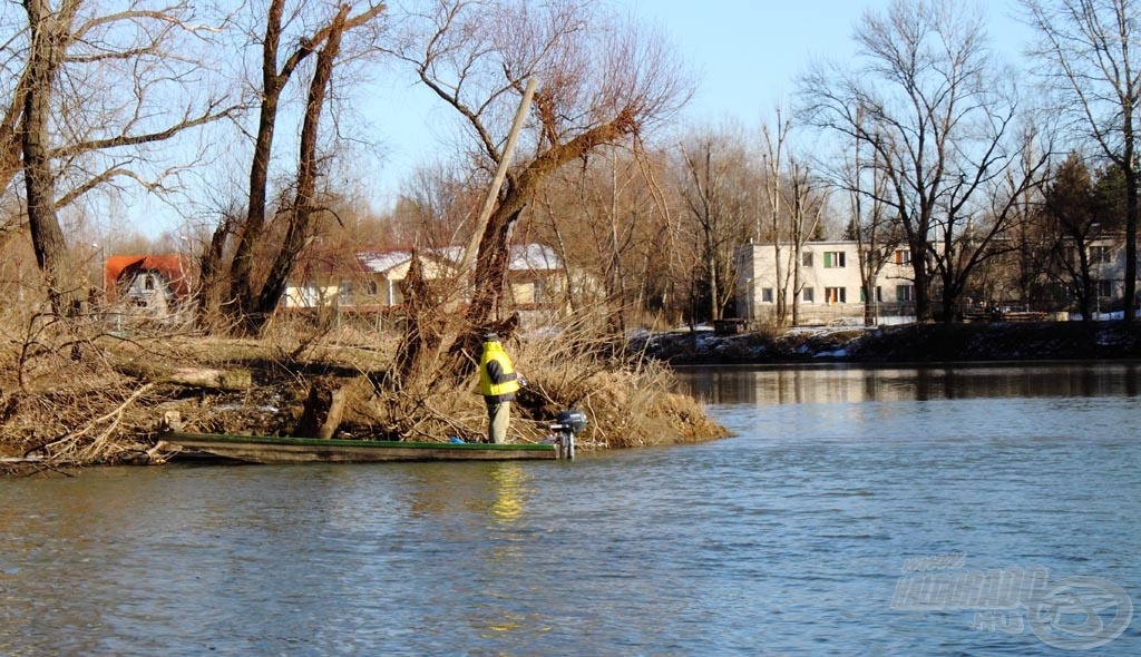 Nem volt teltház a folyón. Mindössze 2 pergető horgász vallatta a vizet. Egyikük a Tisza-Bodrog összefolyásánál…