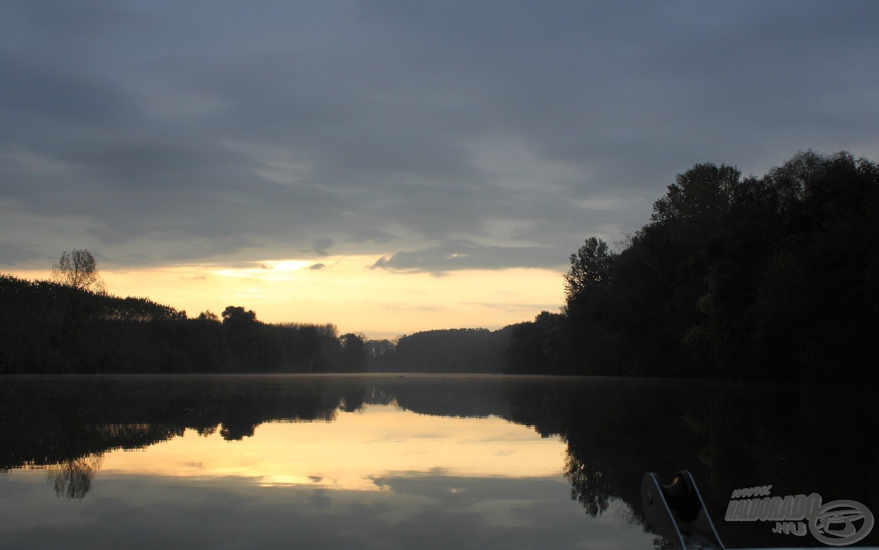 Good morning, Tisza!