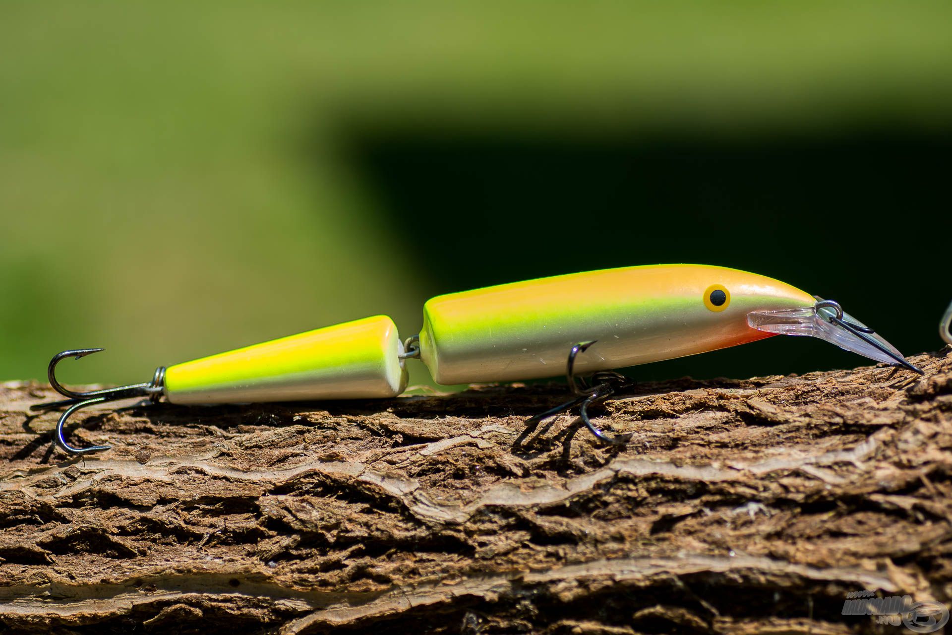 Harcsa „partdobálásban” sokak favoritja a Rapala J 11, vagy a J 13