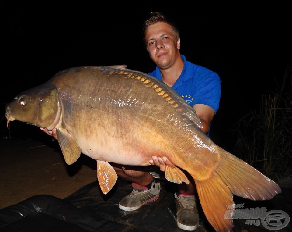 És amire nem is számítottam, a túra hala valamikor éjjeli 2 órakor érkezett meg e fantasztikus, 15,30 kg-os tükrös személyében. Hatalmas csatát vívtunk, 18-as főzsinórral élmény volt a fárasztása az éjszaka leple alatt