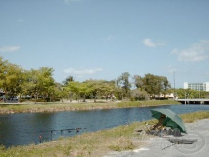 Floridai horgászatok - Amurok a csatornában