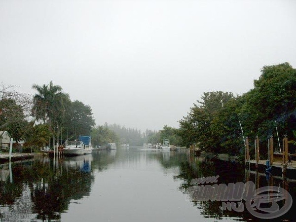 A világhírű Everglades mocsár.