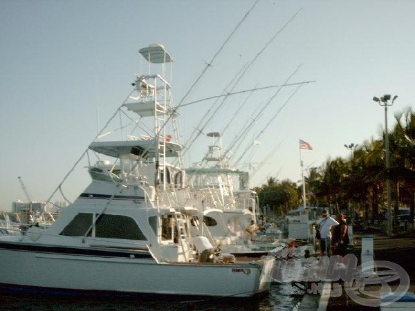 A kikötőben több tengeri jacht is várja a horgászokat.