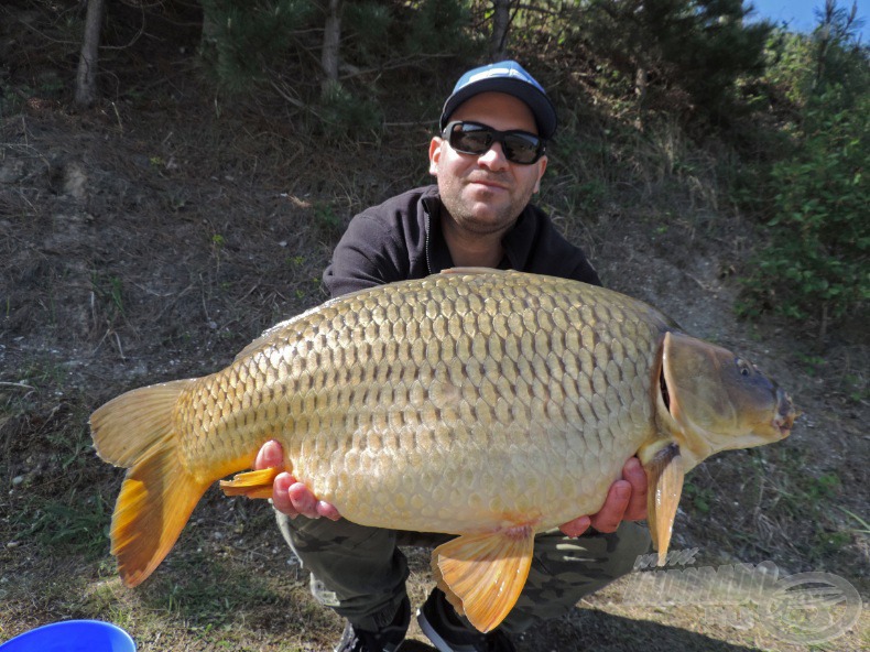 A csaknem 11 kilós tőponty