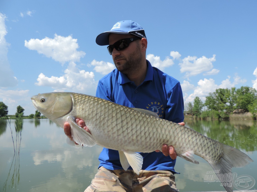 7,5 kg tiszta erő és energia