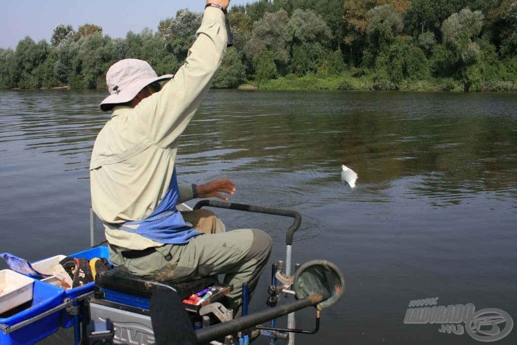 A Tiszában sokkal több az apróbb keszegféle