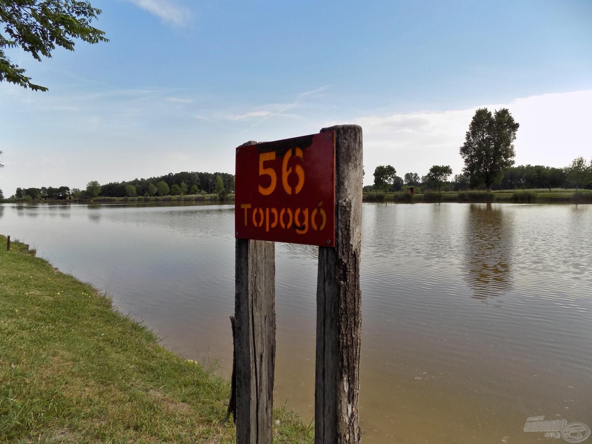 Tikkasztó meleg, üres horgászhelyek. A délutáni órákban érkeztem a tóra, és a helyválasztásom ezúttal a tó hátsó részében található, 56-os számú helyre esett