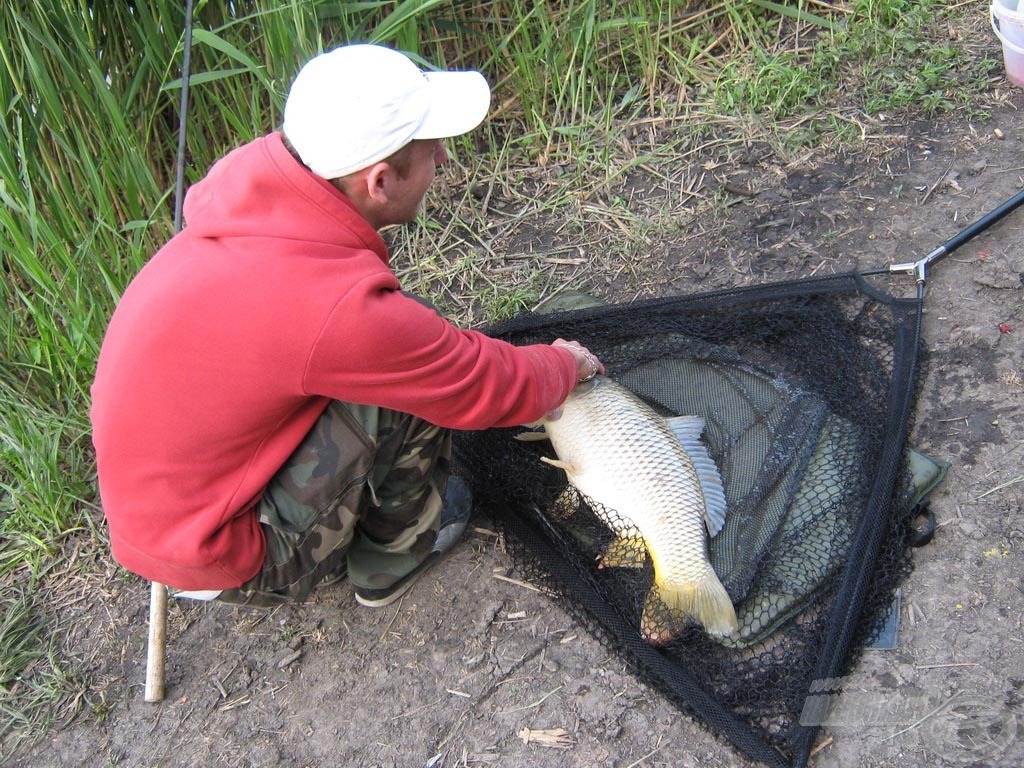 Az utolsó harcos