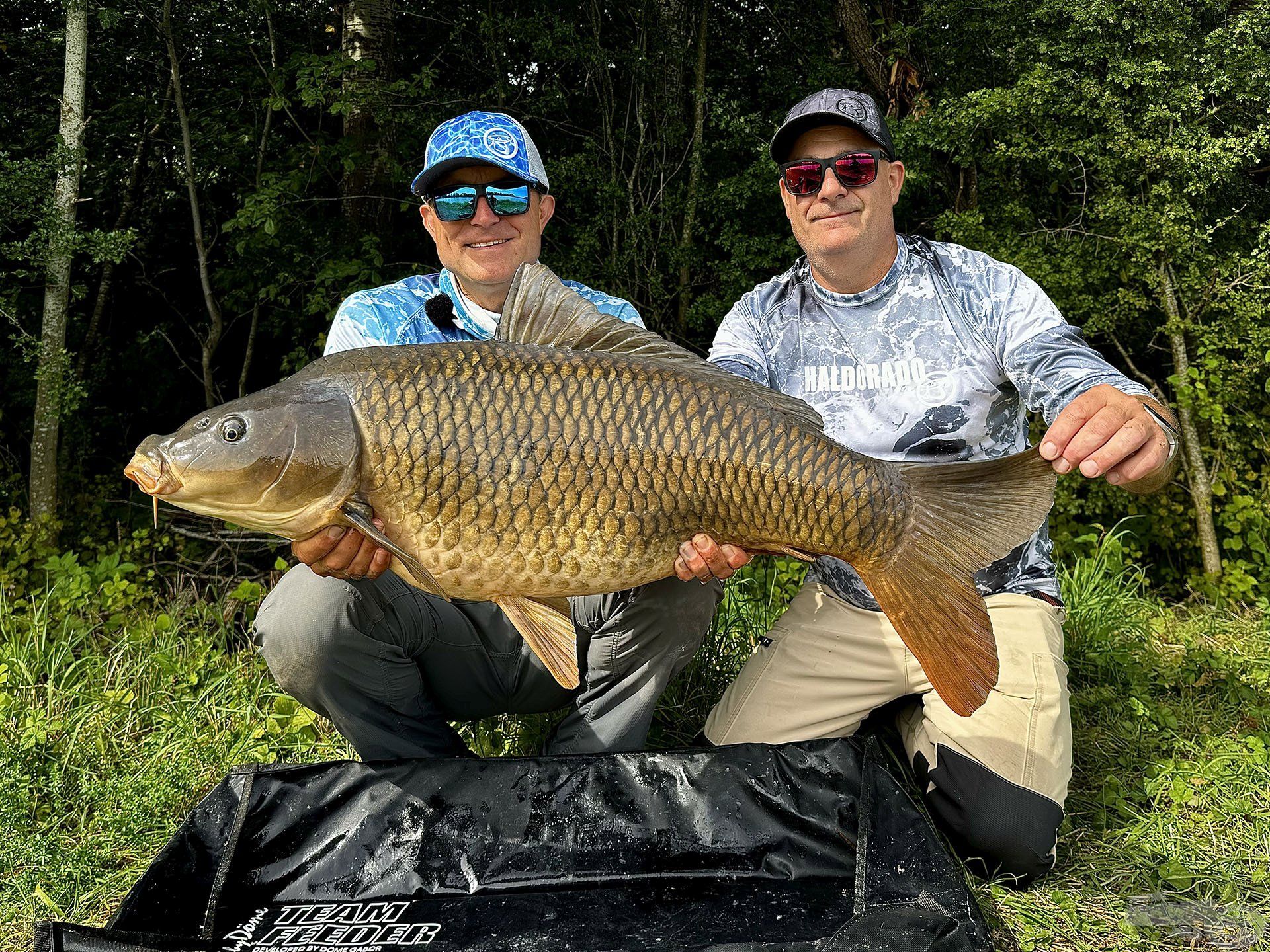 Szebbnél szebb pontyokat fogtunk a method feeder módszerrel