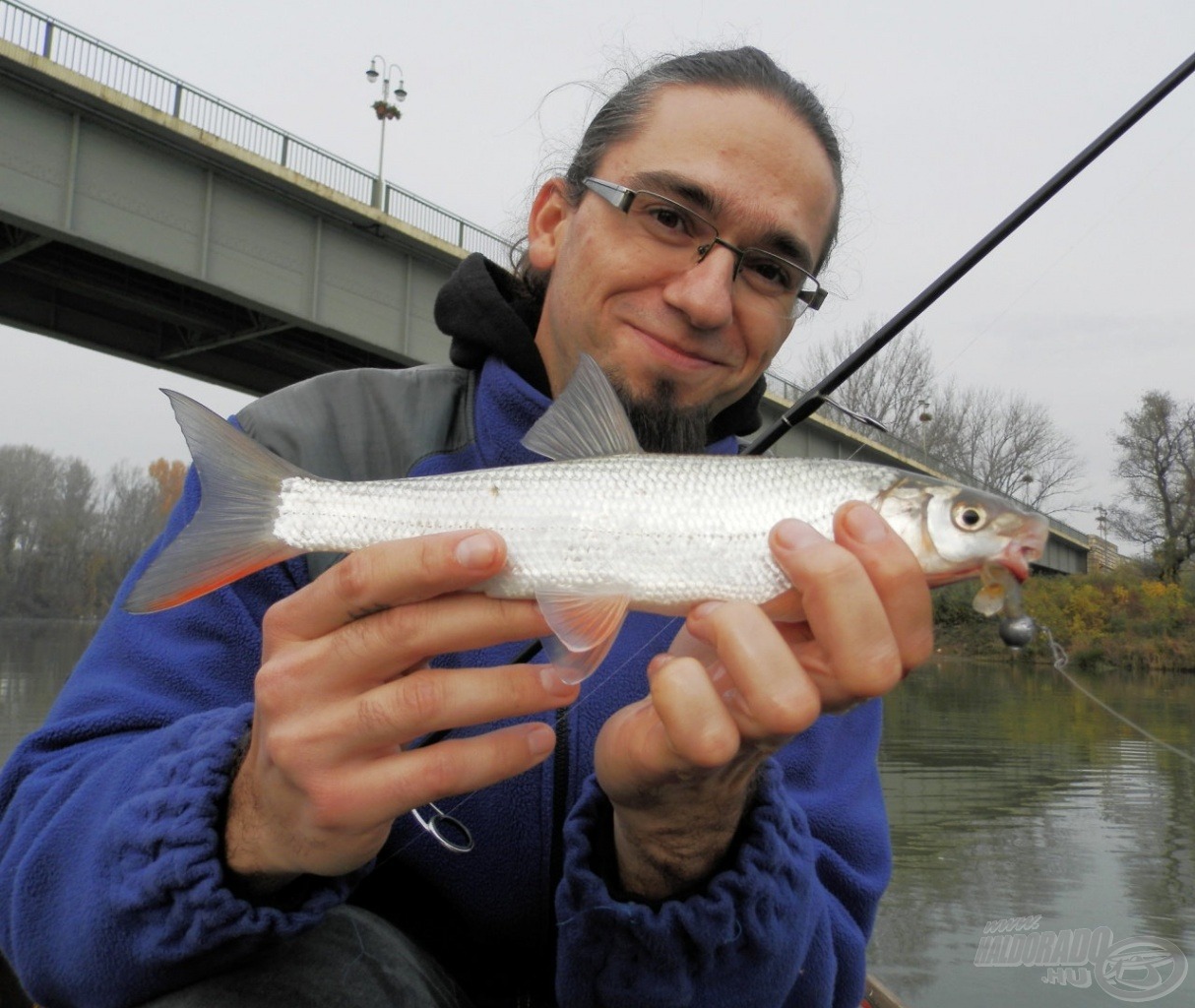 A paduc gyakori vendég télen