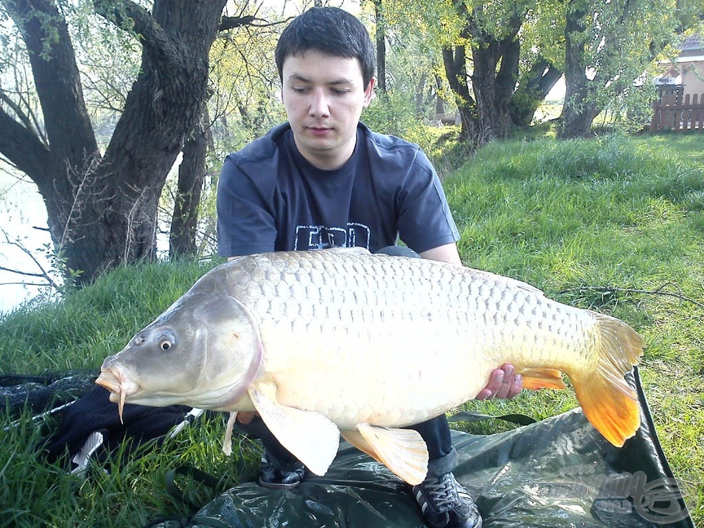 16,50 kg volt e gyönyörű, feederbottal kifogott tőponty pontos súlya