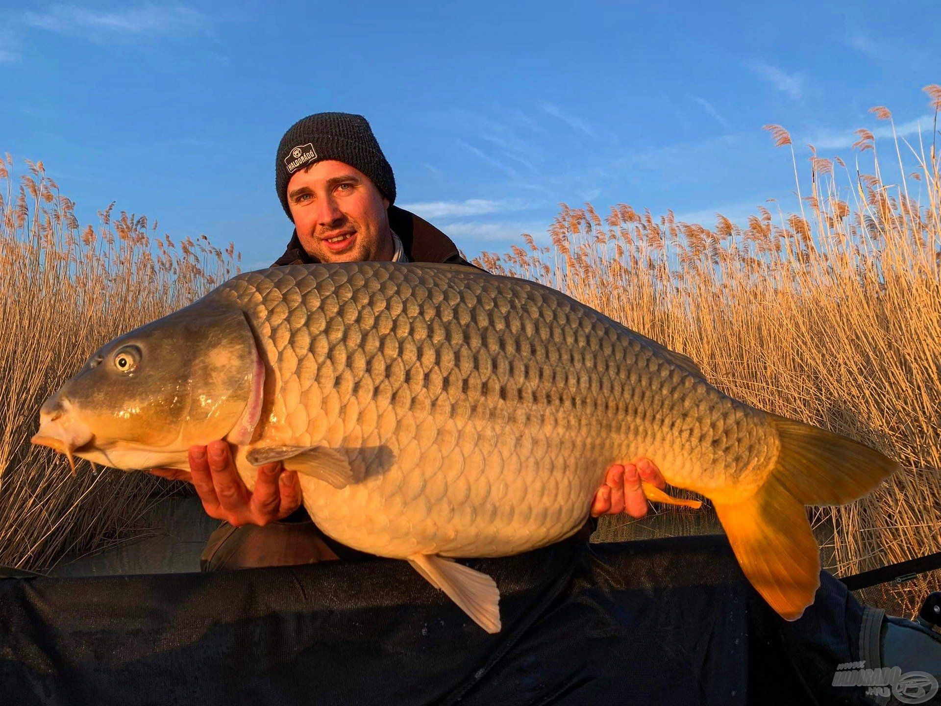 Erik barátunk szintén Balatongyörökön horgászott és új egyéni pontyrekordot fogott a Big Fish bojlinkkal