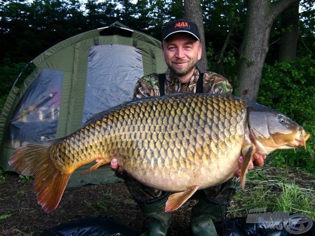 A Max Carp sikere egyre több országban kézzel fogható