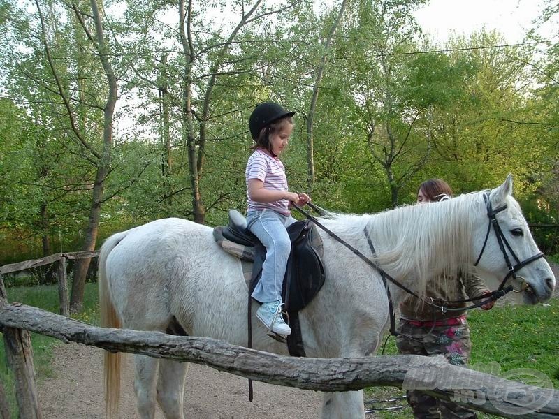 Dóra lányom nagyon élvezte a lovaglás körüli felhajtást. Az első ijedt pillantások után peckesen ült a nyeregben :-)