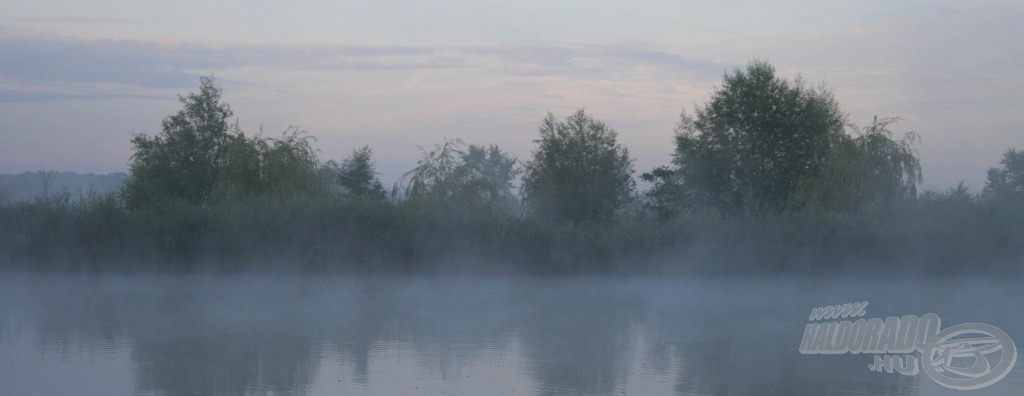 Vajon mit sikerül ma fognom?