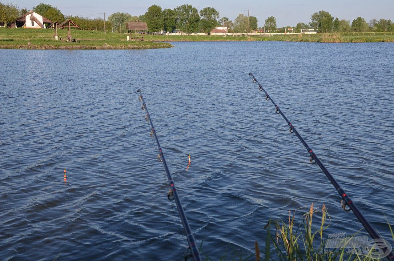 Jellemzően a meredek partoldalak közelében kerestük a harcsákat