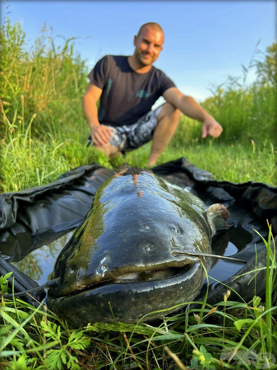 … egy húsz kiló felettit