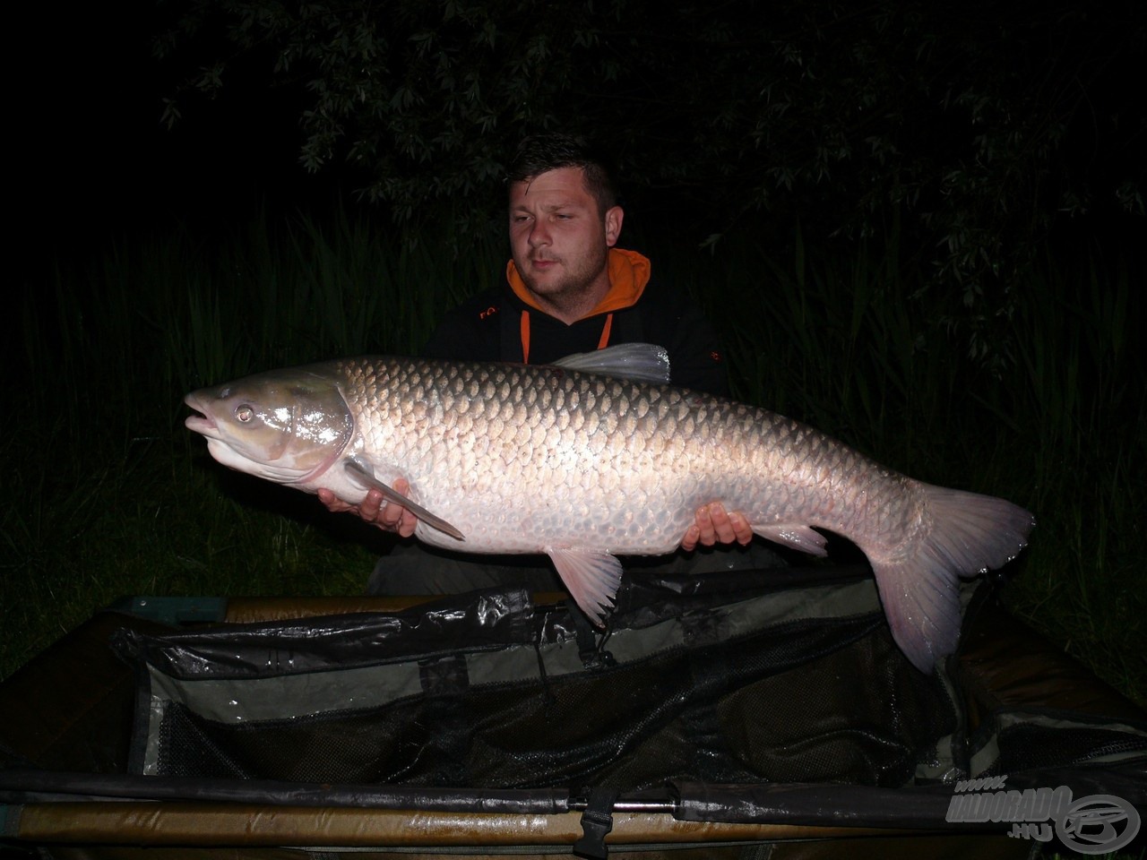 Egy szép, ezüstszínű, 17,10 kg-os torpedó