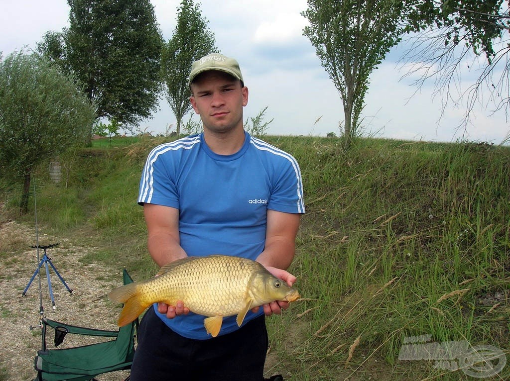 A pellet + kukorica jó párosításnak bizonyult