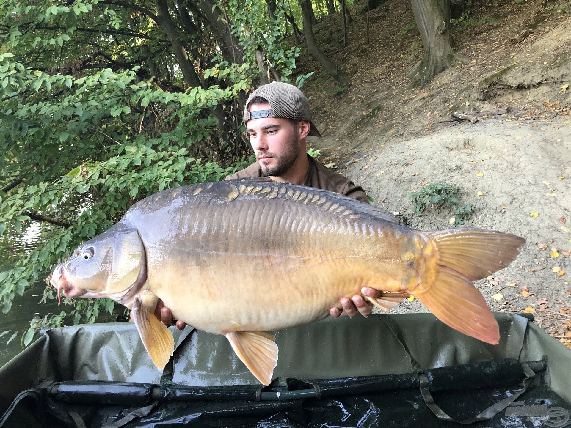 Az átlag pontyok 15-16 kg között néztek ki egy kép erejéig