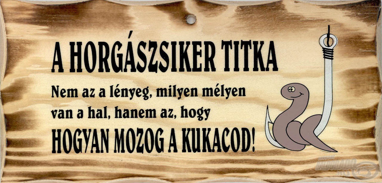 A kukac mozgásán sok múlik :)