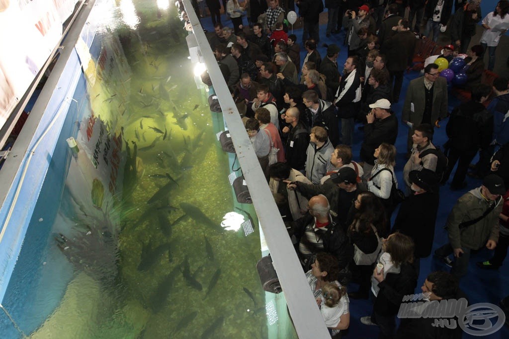 Ismét itt lesz Európa legnagyobb - 22 ezer literes - mobil akváriuma izgalmas és látványos gyakorlati bemutatókkal!