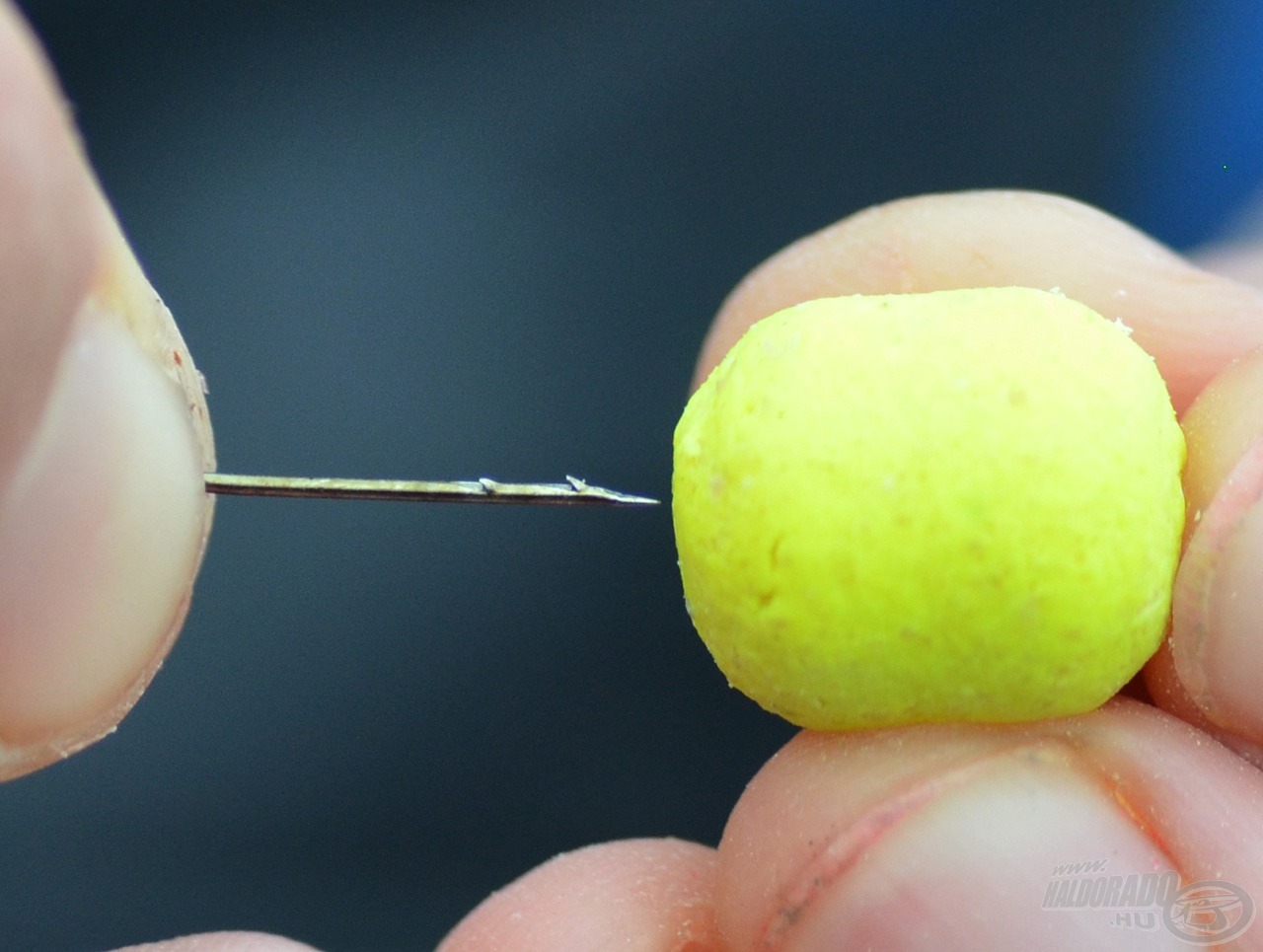 A Pellet Feeder kosár mellé 16 mm-es Oldódó Fluo Lebegő Édes Ananász pellet került a 15 mm hosszú csalitüskére