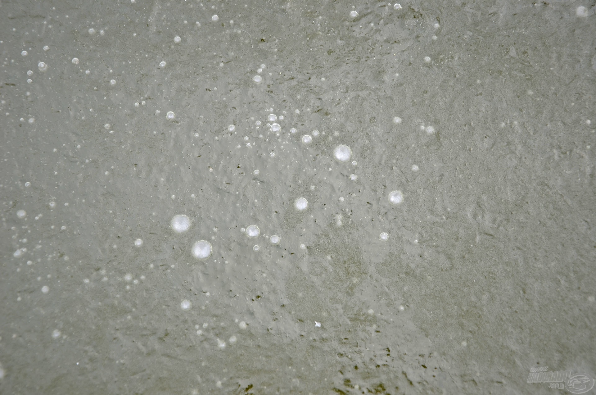 Ha ilyen apró buborékokat láttunk a jégbe fagyva, az azt jelentette, hogy az éjszaka folyamán itt halak voltak!